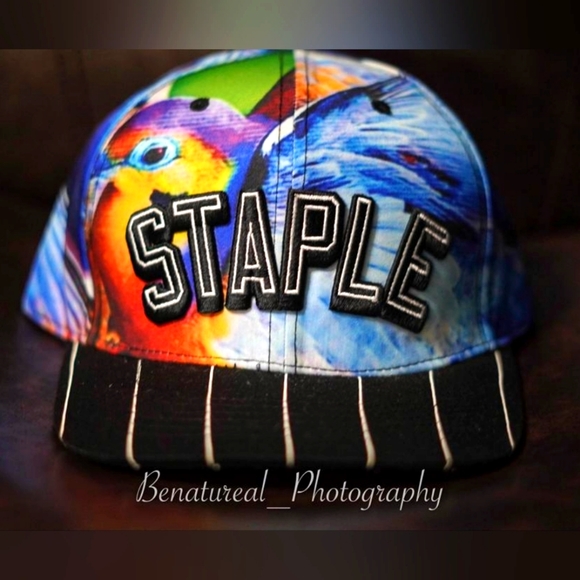 Staple Other - Staple snapback